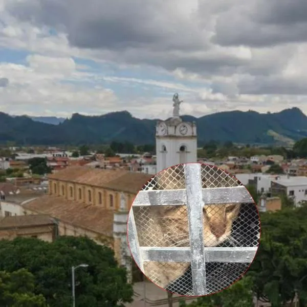 Un gato llevaba 20 días atrapado bajo una iglesia y no querían ayudarlo a salir