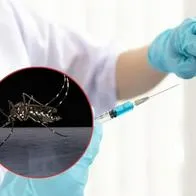 Fiebre amarilla en Colombia: qué es y qué debe saber del virus que alerta a algunas zonas del país