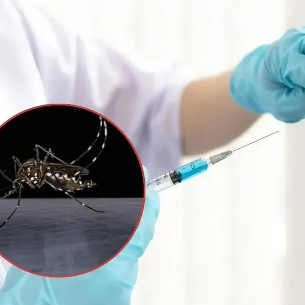 Fiebre amarilla en Colombia: qué es y qué debe saber del virus que alerta a algunas zonas del país