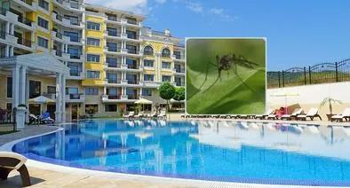 Foto de piscina y mosquito, en nota de cómo llegar a Melgar desde Bogotá: famoso pueblo, en alerta por fiebre amarilla
