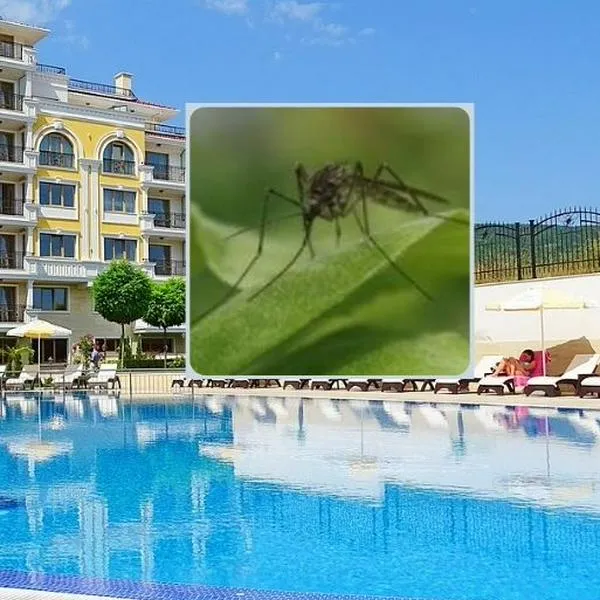 Foto de piscina y mosquito, en nota de cómo llegar a Melgar desde Bogotá: famoso pueblo, en alerta por fiebre amarilla