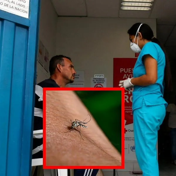 Minsalud reveló nueva cifra de muertos y contagios por fiebre amarilla