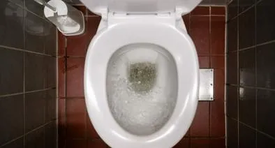 Lo que debe tener en cuenta a la hora de botar el papel al sanitario.