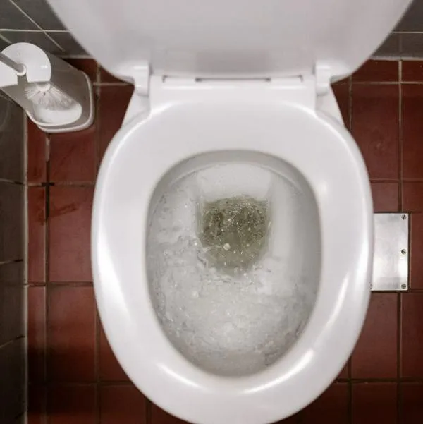 Lo que debe tener en cuenta a la hora de botar el papel al sanitario.