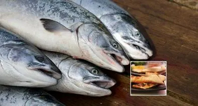 Fotos de salmón, en nota de cómo es el pescado más venenoso del mundo, muy común en Colombia en Semana Santa