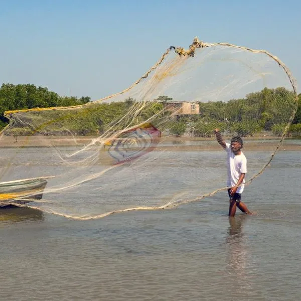 Cuál es el pueblo con el mejor pescado de Colombia