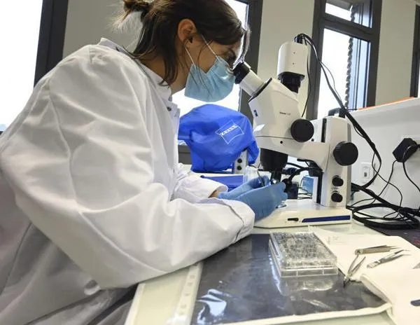 Francia quiere atraer a investigadores extranjeros a pesar de un presupuesto reducido