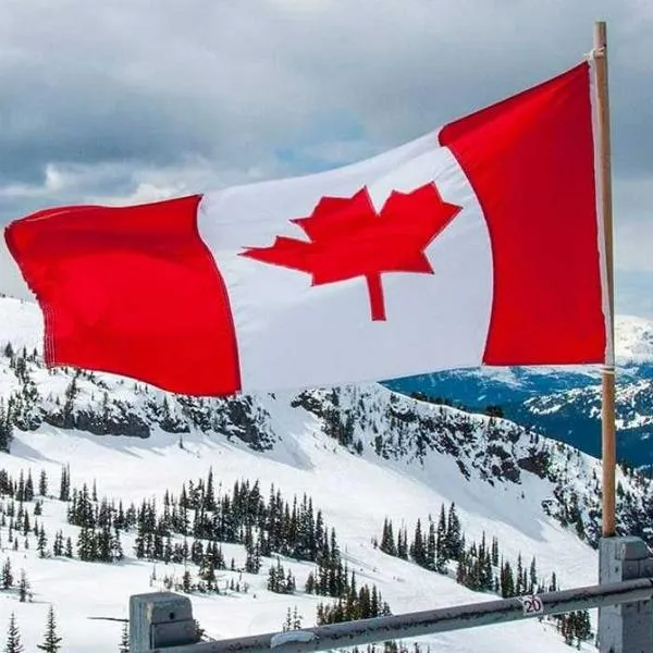 Canadá busca colombianos que quieran estudiar estas carreras y dará beneficios