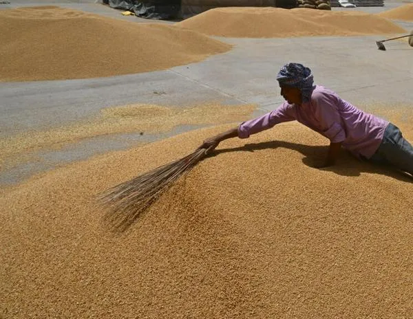 El FMI estima que la economía mundial crecerá sólo 2,8%, por los aranceles de Trump