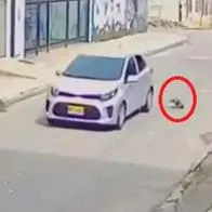 Amenazan de muerte a mujer señalada de arrojar a gato desde un carro; dio su versión