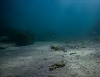 Trump impulsa la extracción de minerales en el fondo del océano, incluyendo en aguas internacionales