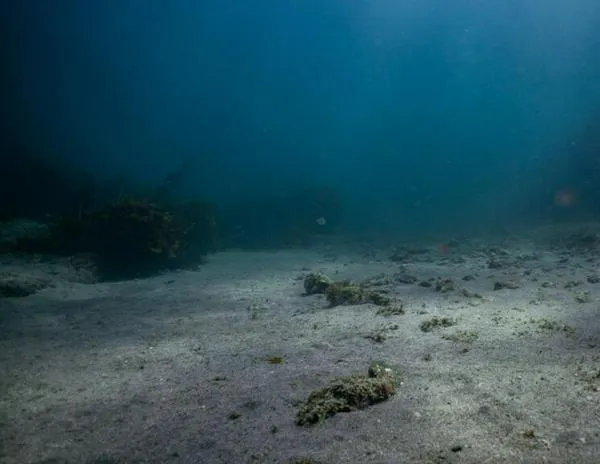 Trump impulsa la extracción de minerales en el fondo del océano, incluyendo en aguas internacionales