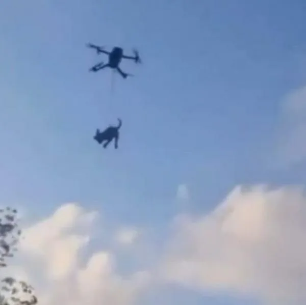 Momento en el que un perro es colgado para volar en un dron en México
