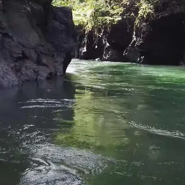 Foto Río La Miel, en nota de cuál es el río más cristalino de Colombia tras Caño Cristales: fácil desde Bogotá