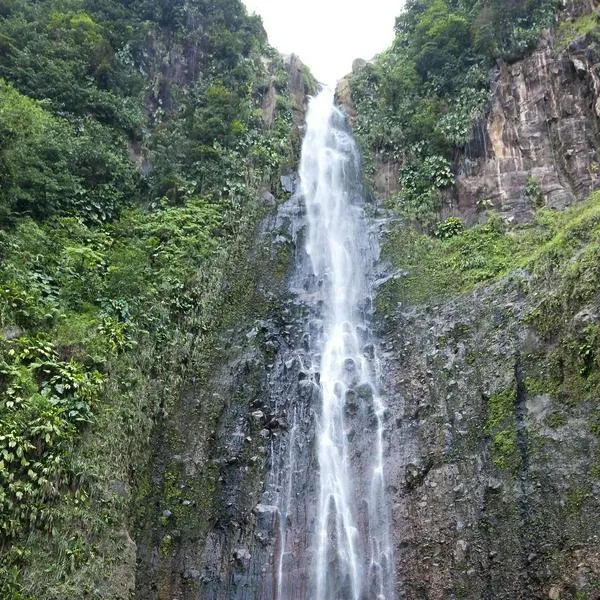 Cascada, en nota sobre cuál es la más alta de Antioquia