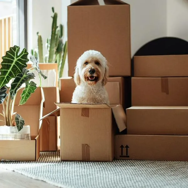 Dan cifra impensada para quienes buscan vivienda en Colombia y en arriendo