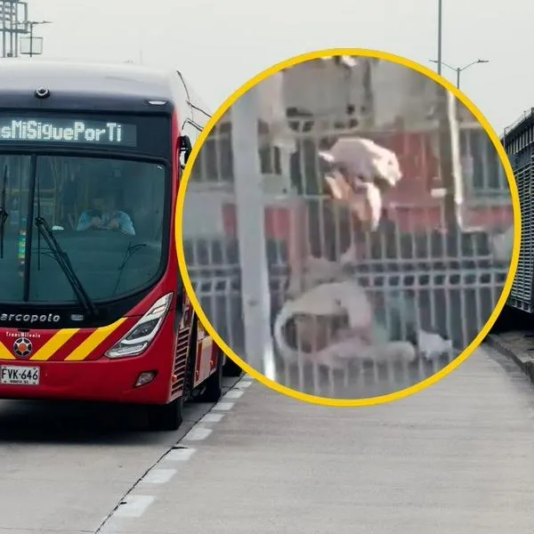 Pelea en Transmilenio