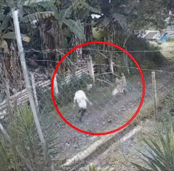 Niña habría sido abusada en Chinchiná Caldas por pastor evangélico