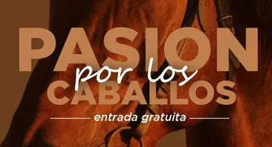 Evento para amantes de los caballos / Cortesía