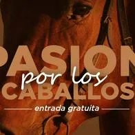 Evento para amantes de los caballos / Cortesía