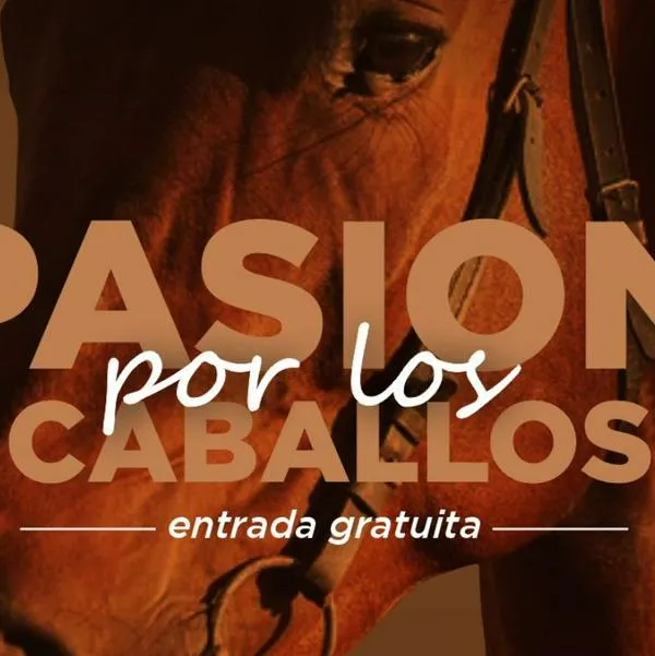 Evento para amantes de los caballos / Cortesía