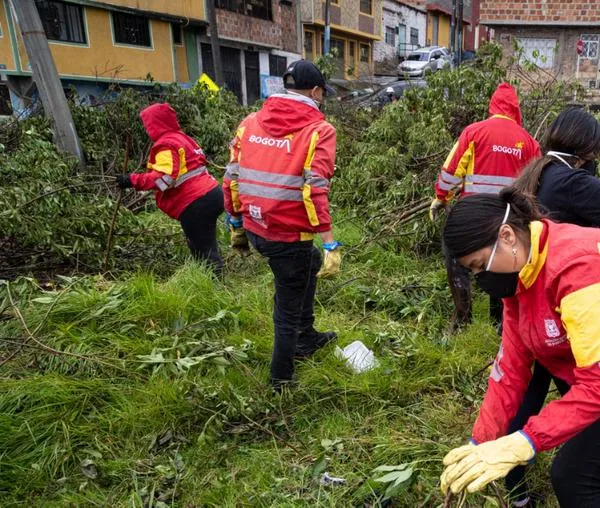 Alcaldía de San Cristóbal transforma espacios públicos con apoyo de la comunidad 