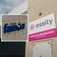 Foto de Essity y Familia,. en nota de quién es el dueño de Essity, nueva marca que cambio el nombre del papel Familia