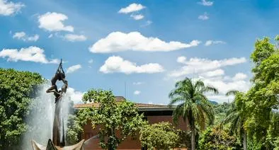 ¿Cuáles son las tres mejores universidades de Medellín 2025, según ranking 