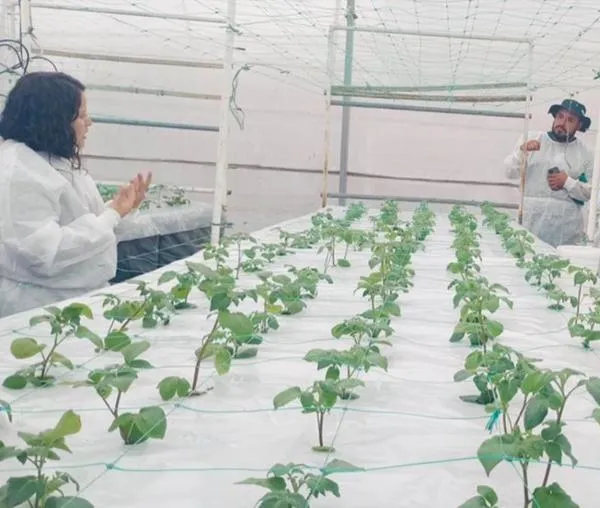 Biodiversidad y agricultura urbana: una alianza que florece en Bogotá 