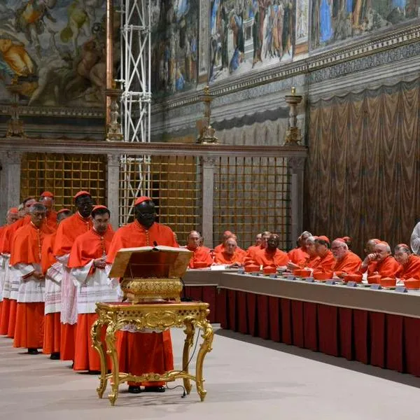 Foto de cardenales, en nota de cuánto vale un cónclave en pesos colombianos: millonada tras elección del papa