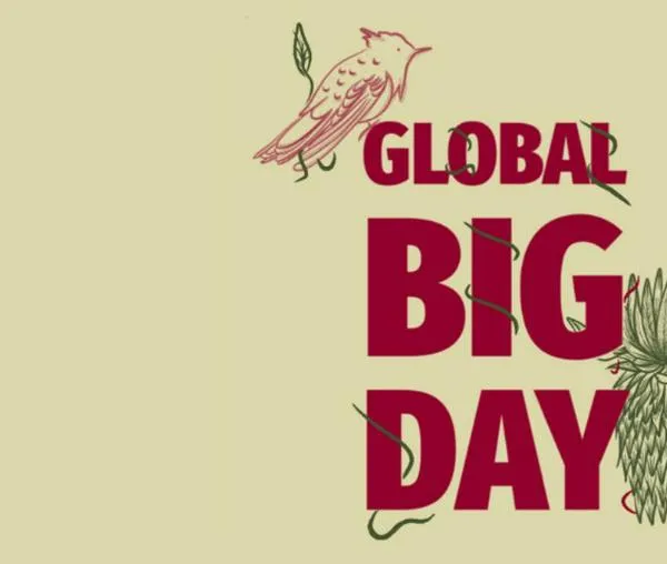 ¡Únete a la jornada de observación de aves en el Parque Arqueológico de Usme! 