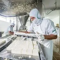 Foto de queso, en nota de cuánto vale un kilo de queso en Colombia, según Corabastos