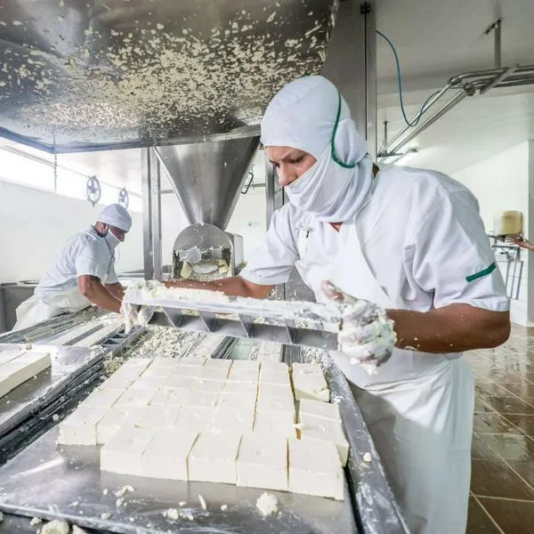 Foto de queso, en nota de cuánto vale un kilo de queso en Colombia, según Corabastos