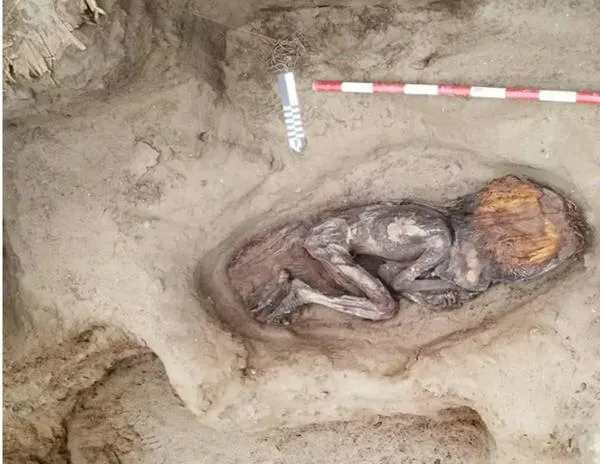 Una momia de 5.000 años en Perú desvela las claves de una sociedad ‘en armonía’