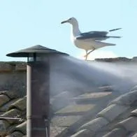 Cónclave elige al nuevo papa en el Vaticano: humo blanco en la capilla Sixtina