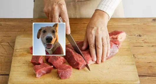 Fotos de carne y de perro, en nota de cómo saber si la carne que esta comiendo es de perro: revelan avisos de expertos