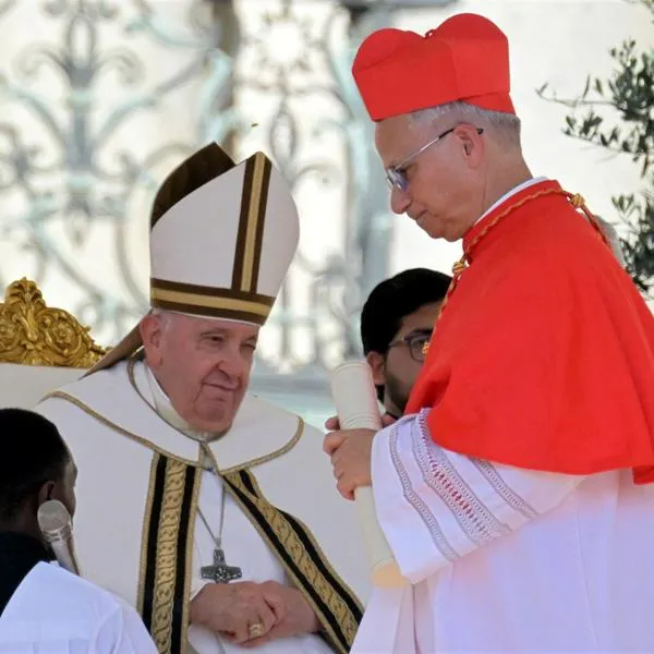 ¿Qué hacía el papa León XIV con Francisco? Trabajaban muy de la mano