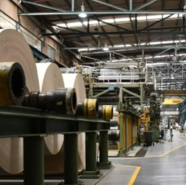Qué es la guerra de papel, el enfrentamiento entre Carvajal, Inapel y Scribe en Colombia por este valioso producto. Muchos aseguran que se debe a un cierre