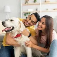 Foto de personas con mascota, en nota de cuáles son mejores sitios para vivir con mascota en Colombia: arriendo y compra