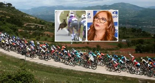 Cabra en etapa 3 del Giro de Italia asustó en Caracol: Goga Sandoval dio alerta