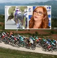 Cabra en etapa 3 del Giro de Italia asustó en Caracol: Goga Sandoval dio alerta