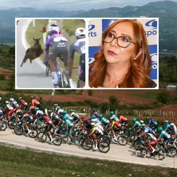 Cabra en etapa 3 del Giro de Italia asustó en Caracol: Goga Sandoval dio alerta