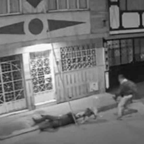Ladrón hizo que pitbull atracara a hombre en Bogotá y luego abandonó al animal
