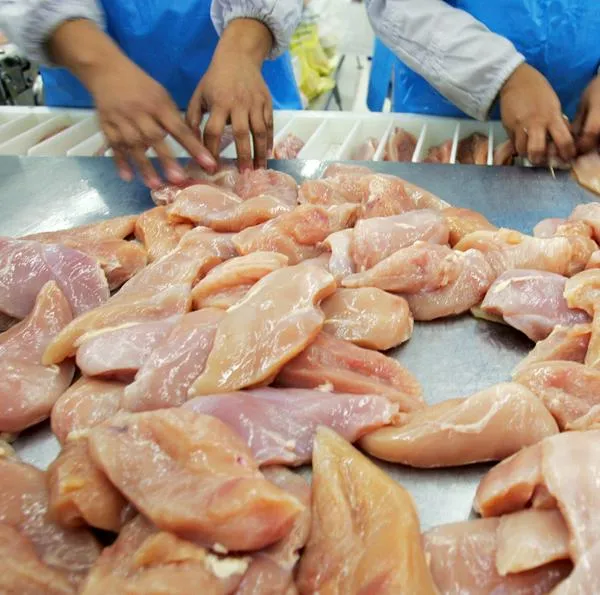 Hay novedad grande con el pollo que se vende en Colombia y que llegaría a 3 países importantes del exterior, como Japón, Cuba y Bahamas.