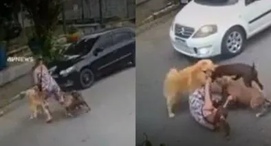 Mujer con 7 meses de embarazo tuvo caída por defender a su perro de pitbulls