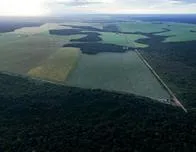 Brasil se prepara para recibir la COP30 en seis meses, con la agroindustria en el punto de mira