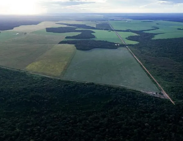 Brasil se prepara para recibir la COP30 en seis meses, con la agroindustria en el punto de mira