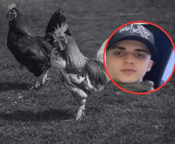 Joven de 21 años fue asesinado en medio de una pelea de gallos: hay consternación