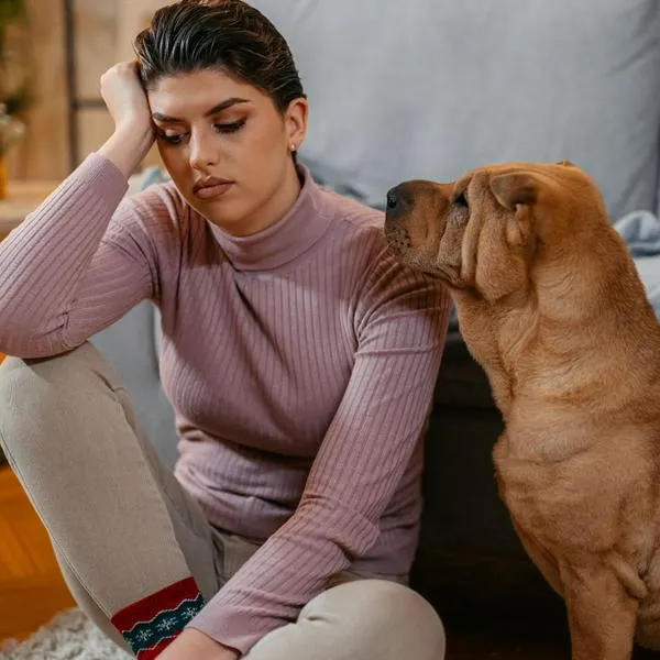 Multa de hasta $ 522.000 por pasear a perros sin correa en Colombia: hay ley