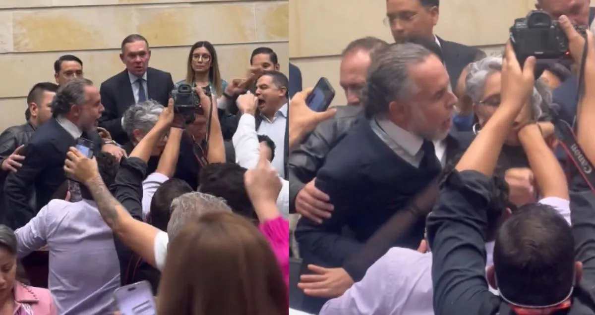Descripción de la imagen